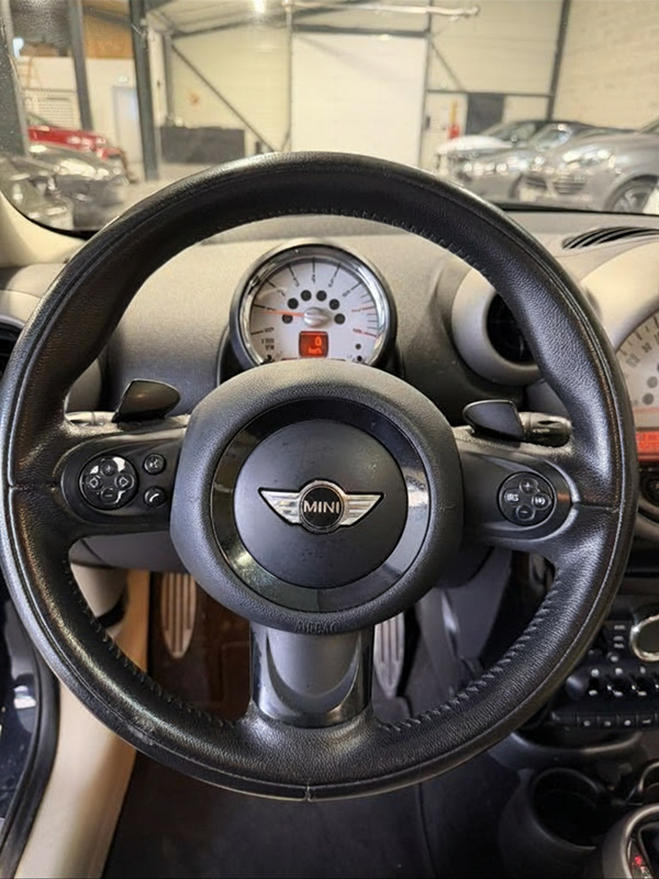 Mini Countryman S