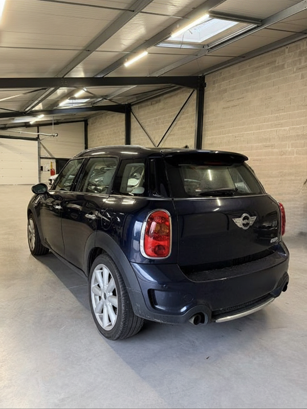 Mini Countryman S